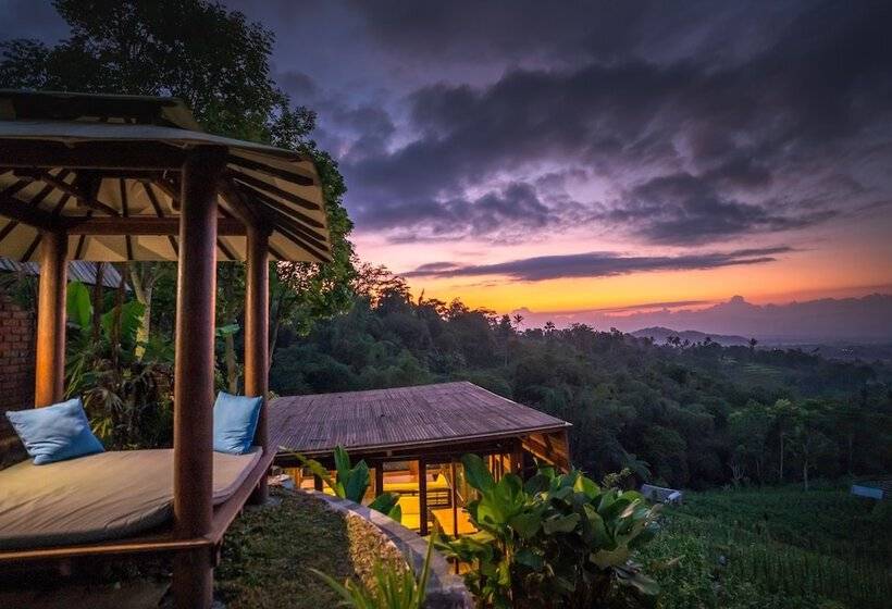 בית מלון כפרי Village Above The Clouds