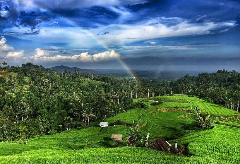 בית מלון כפרי Village Above The Clouds