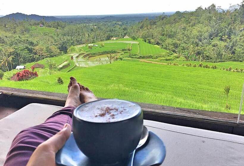 בית מלון כפרי Village Above The Clouds