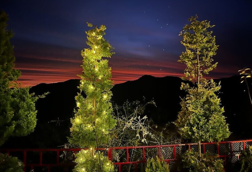 Nature Nest Eco Resort