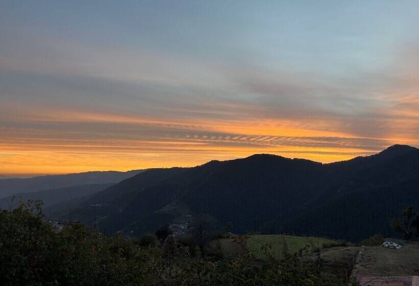 Nature Nest Eco Resort