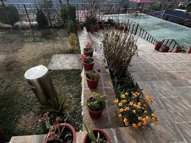 Nature Nest Eco Resort