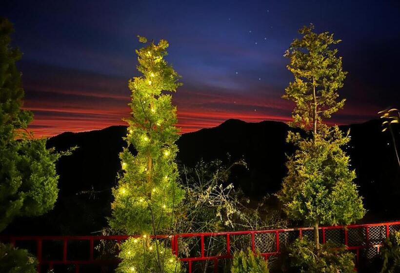 Nature Nest Eco Resort