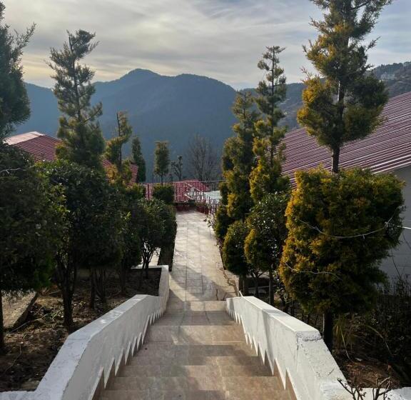 Nature Nest Eco Resort