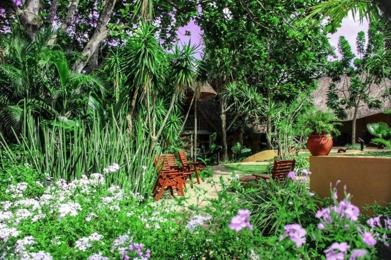 بنسيون Amazulu Lodge