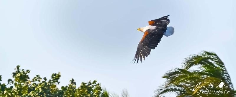 膳宿费 Amazulu Lodge