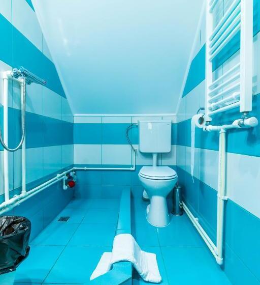 Пансион Casa Dinii