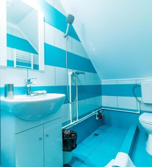 Пансион Casa Dinii