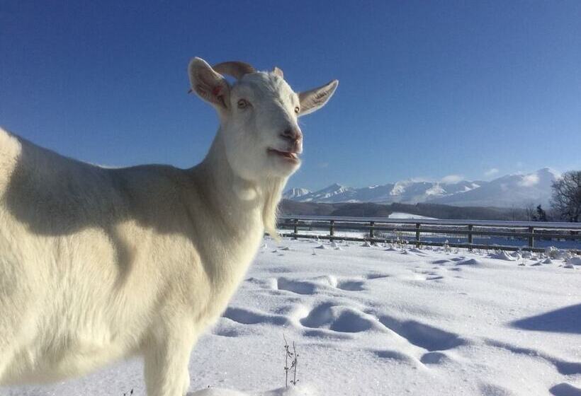 פנסיון Gufo No Mori Kamifurano