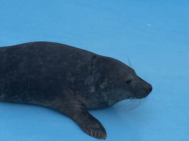 ペンション Karema