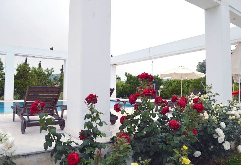 펜션 Olive Mansion Suites