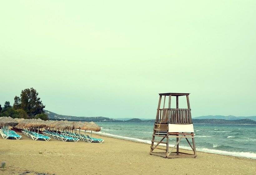 펜션 Olive Mansion Suites