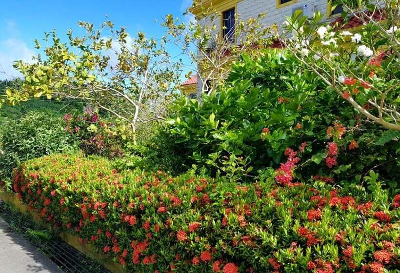 پانسیون Saipan Stay Lounge