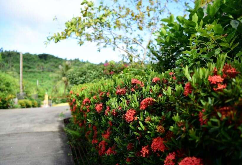 پانسیون Saipan Stay Lounge