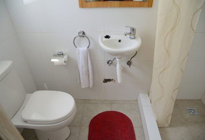 پانسیون White Star