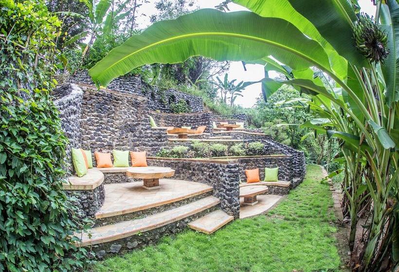 אתר נופש Avalon Ubud Villas