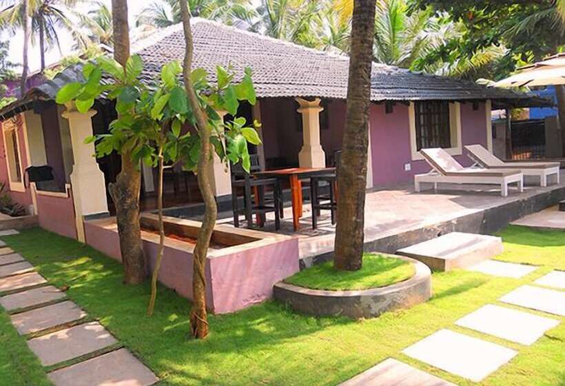 5am Somewhere Casa Nandini, Goa