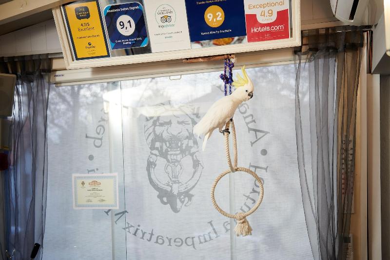 צימר Anastasia Suites Zagreb