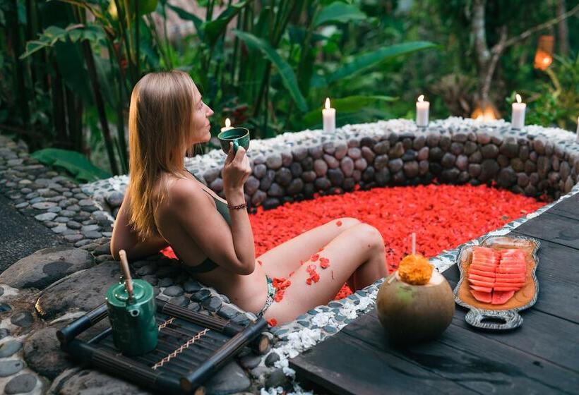 مبيت وإفطار Bali Dacha