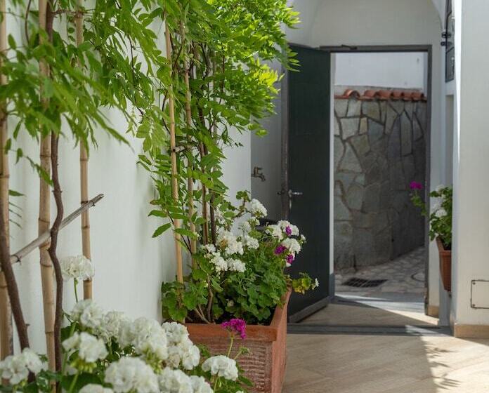 ベッドアンドブレックファースト Capri Dreaming