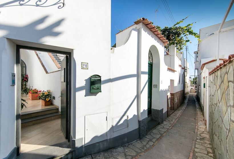 ベッドアンドブレックファースト Capri Dreaming