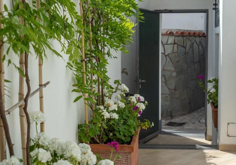 ベッドアンドブレックファースト Capri Dreaming