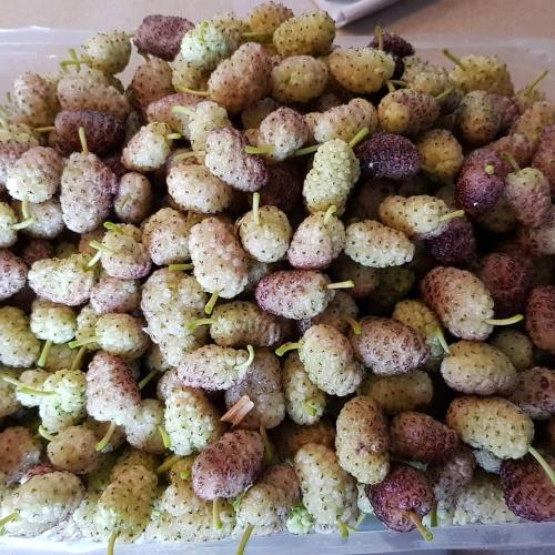 Bed and Breakfast La Villa Rossa