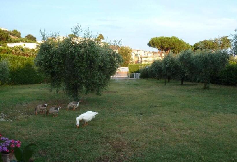 Bed and Breakfast O Chalet