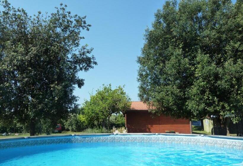 Bed and Breakfast O Chalet