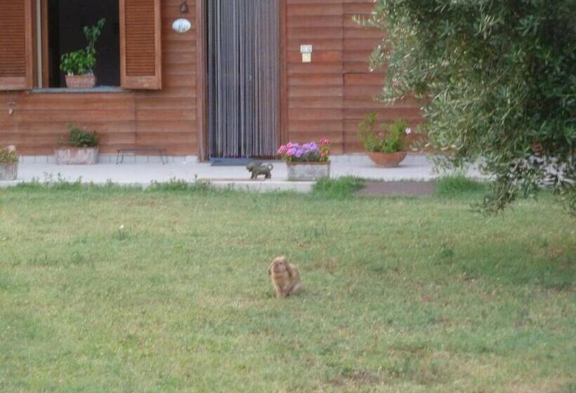 Bed and Breakfast O Chalet