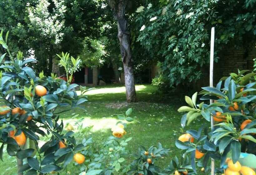 مبيت وإفطار Palazzo Romani Adami