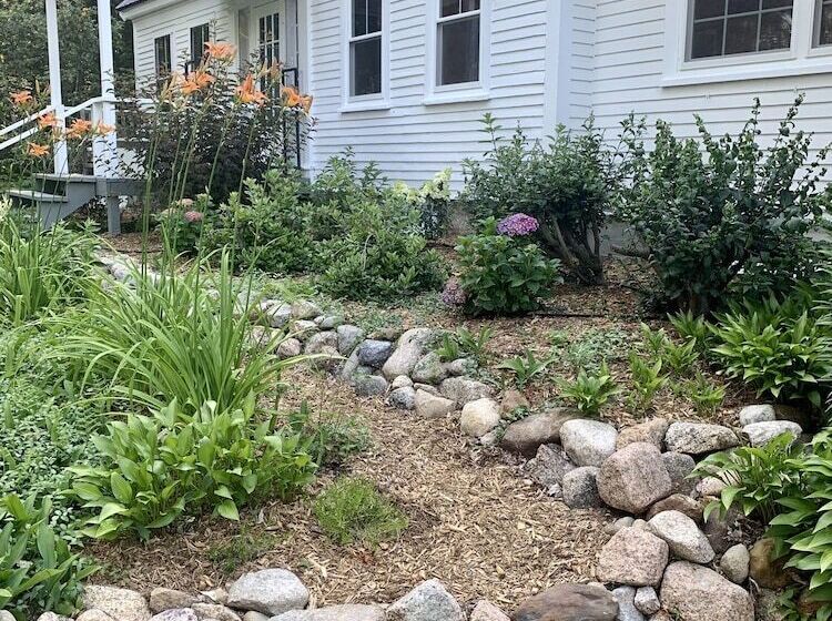 مبيت وإفطار Buttonwood Inn On Mount Surprise