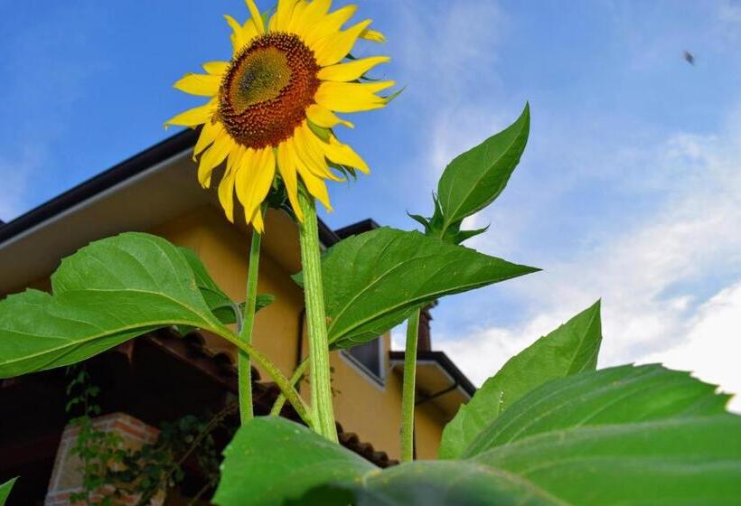 ベッドアンドブレックファースト Villa Cristina