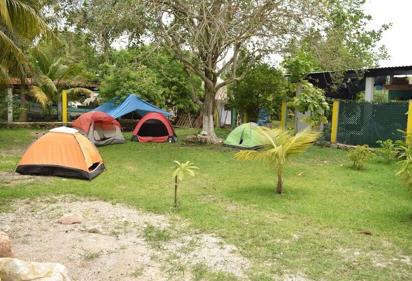 Camping Hostal El árbol De La Vida   Hostel