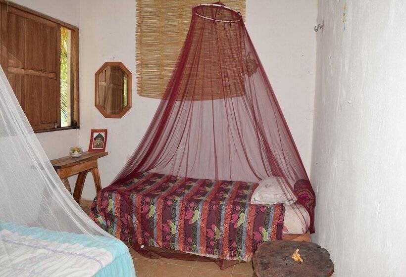 Camping Hostal El árbol De La Vida   Hostel