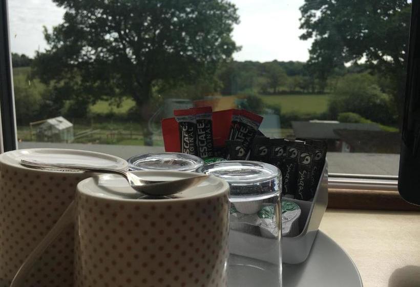 Cripple Creek Bed And Breakfast