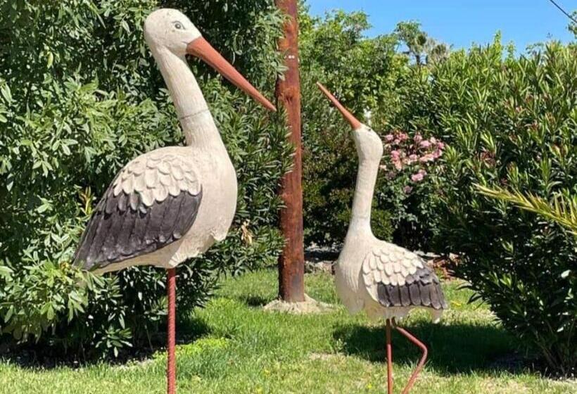 客栈 Posada De La Plata