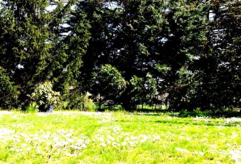 酒店 Agriturismo Corte Trincerone