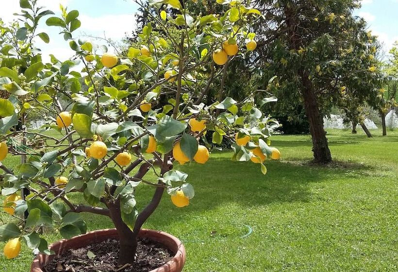 Отель Villa La Morina Agriturismo