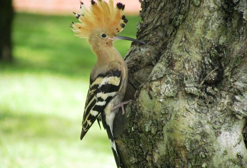 Отель Villa La Morina Agriturismo