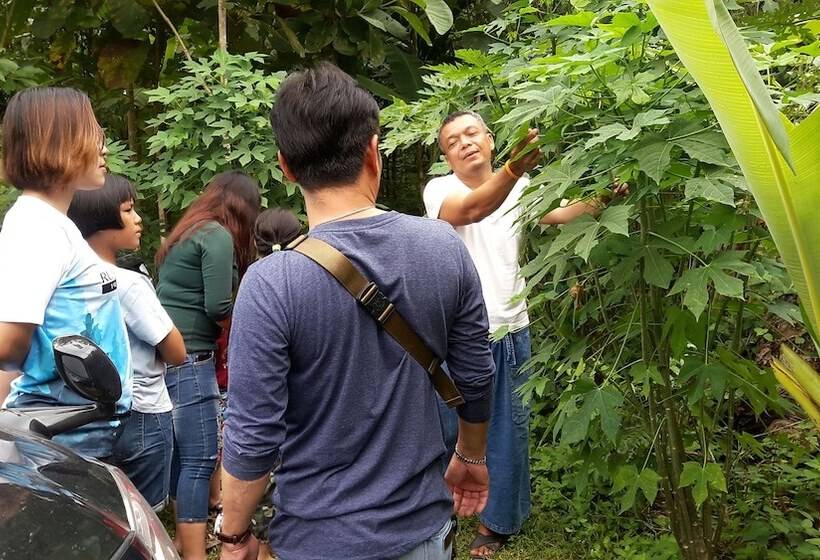 Отель Baansongkhata