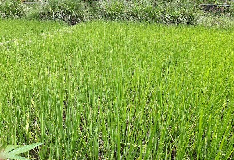 Отель Baansongkhata