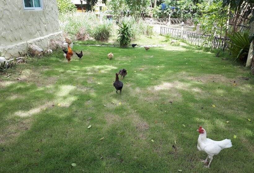 Отель Baansongkhata