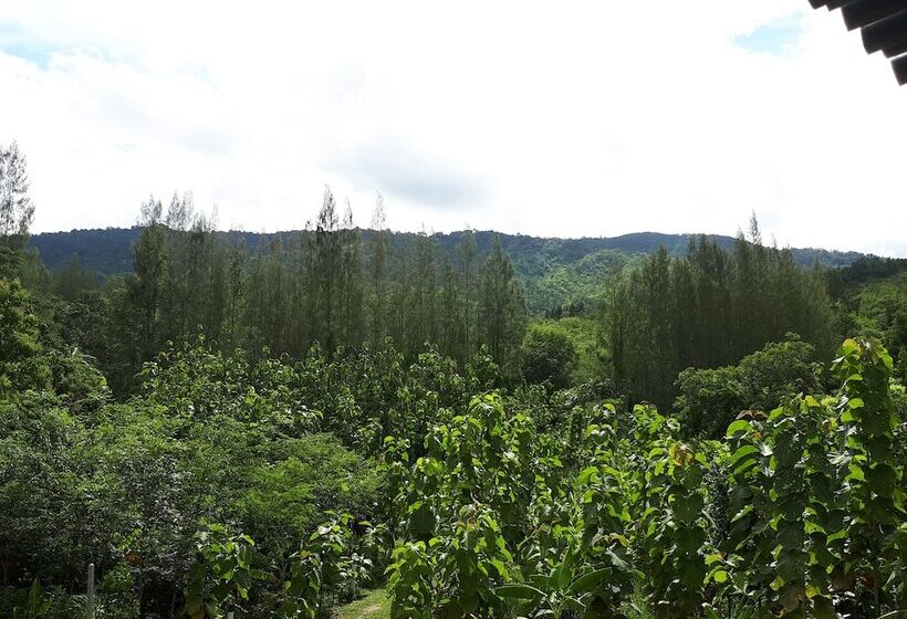 Отель Baansongkhata