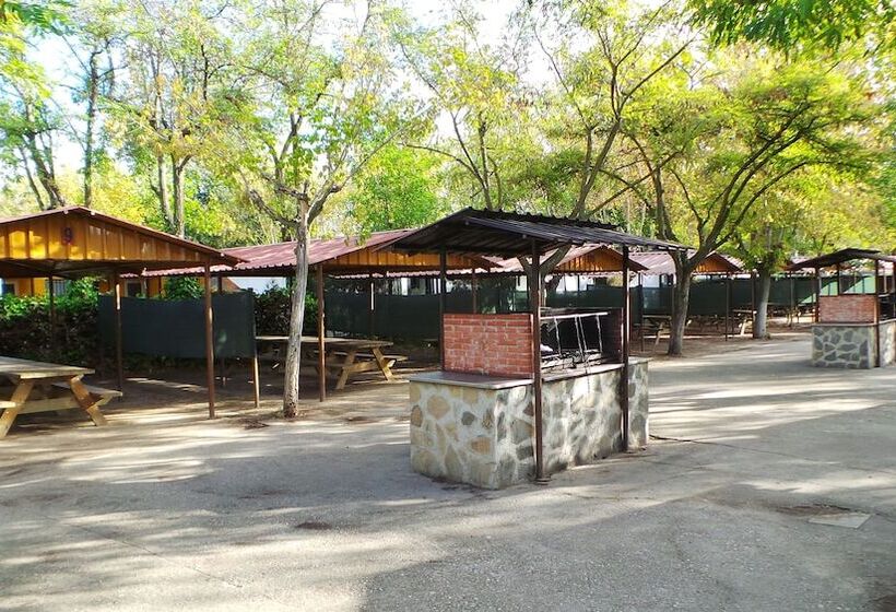 هتل Bungalows Alpha