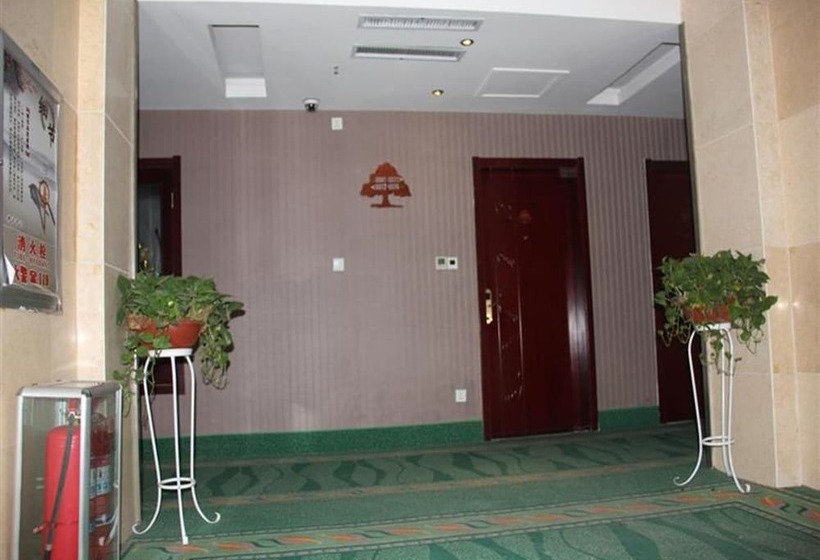 בית מלון כפרי Greentree Inn Heze Cao County Qinghe Road Business