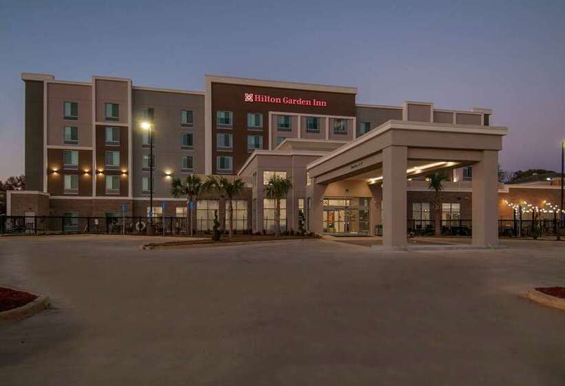 فندق Hilton Garden Inn Jackson/clinton