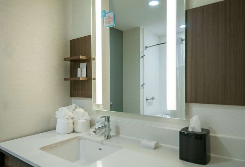 فندق Hilton Garden Inn Jackson/clinton