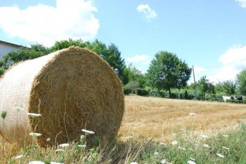 Отель Poggio A Poppi