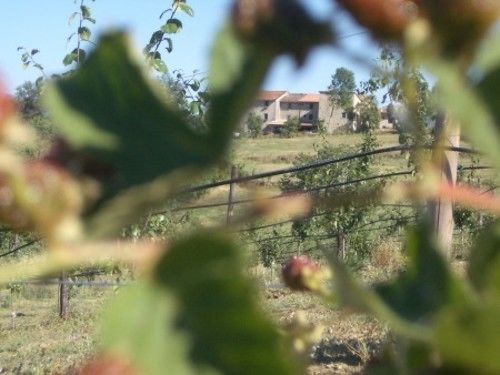 Отель Poggio A Poppi